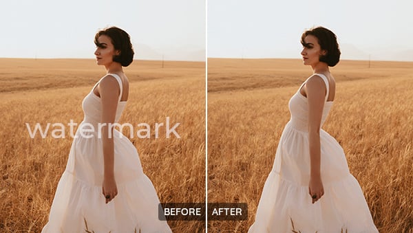 remove watermark from photo online for free