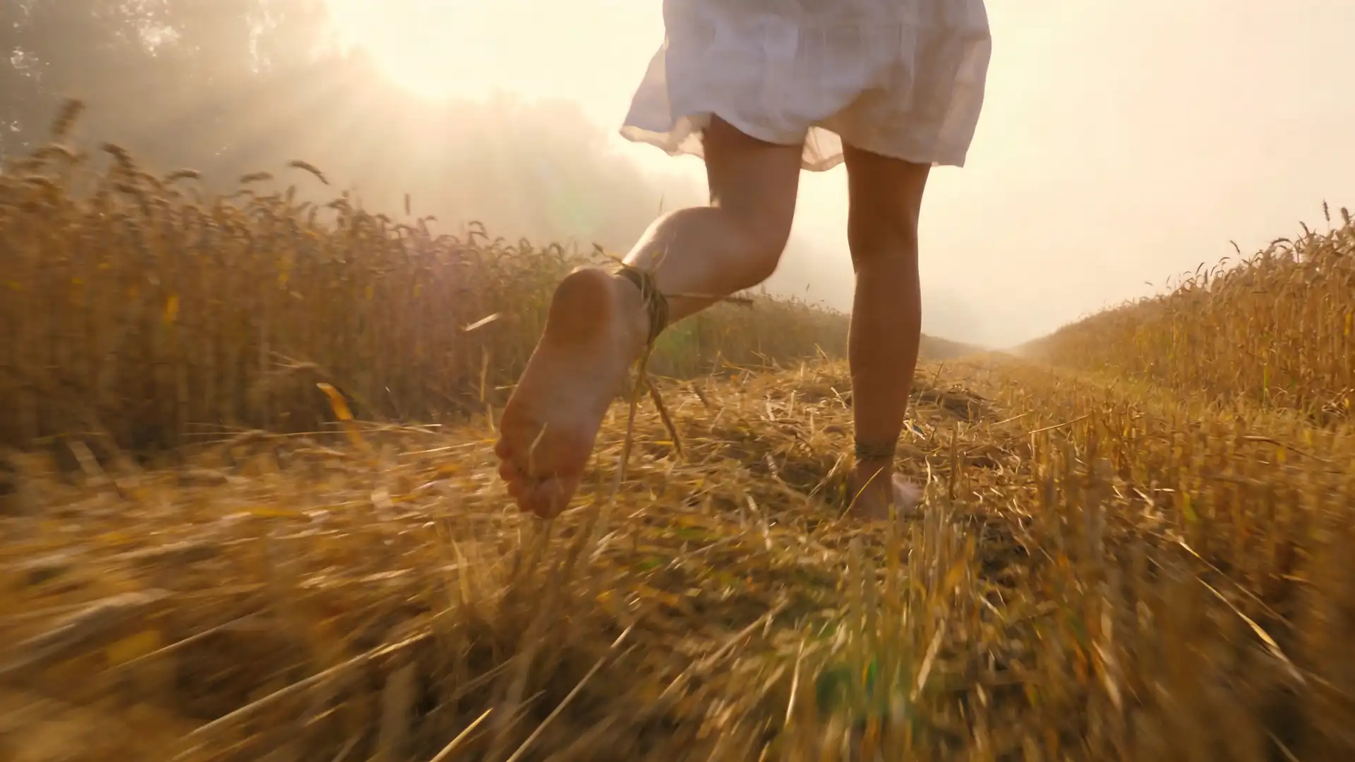 movie perspective images