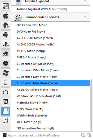 choose mp4 as the output format